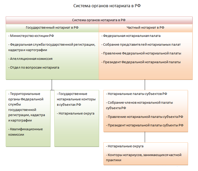 Структура нотариальных органов. Система государственных учреждений нотариата в России. Система нотариата в Российской Федерации схема. Структура органов нотариата в РФ. Органы частного учреждения