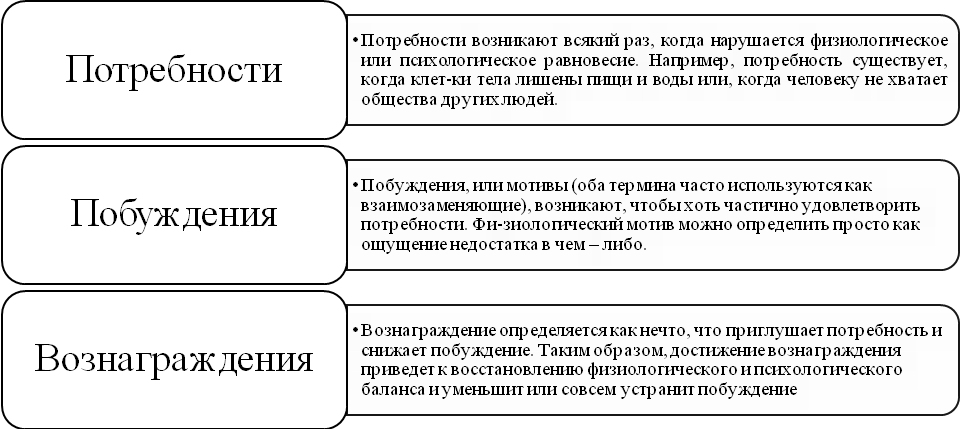 Курсовая Работа Психология Мотивации Человека