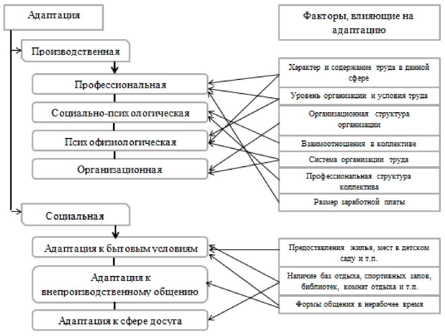 Адаптация организации виды. Факторы профессиональной адаптации. Факторы влияющие на адаптацию персонала. Схема адаптации персонала. Схема производственной адаптации.