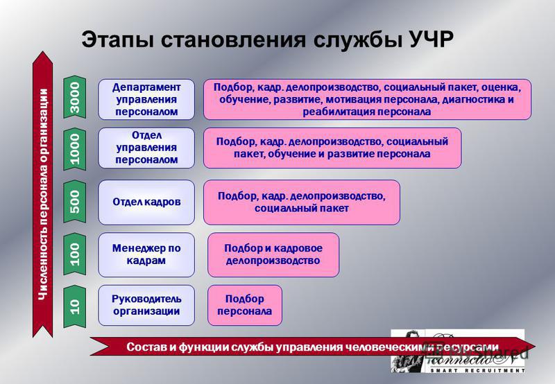 Этапы становления управления. Этапы работы с кадрами в организации. Этапы управления человеческими ресурсами. Этап становления организации. Этапы управления персоналом.