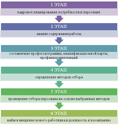 Тест кадровая работа. Этапы подбора персонала. Последовательность этапов отбора персонала. Основные этапы процесса отбора персонала. Этапы процедуры отбора персонала.