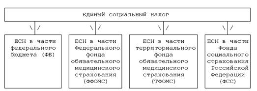 единый социальный налог вид налога. уплаты есн. уплаты есн. налог на социальные взносы. налоговые ставки порядок исчисления и уплаты.