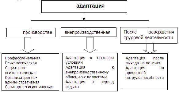 Адаптация в c. Психологическая адаптация примеры. Виды адаптации. Дать определение адаптация. Понятие профессиональной адаптации.