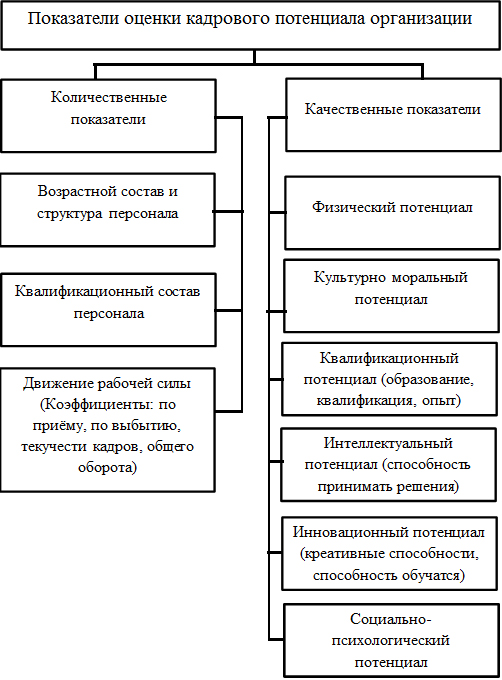 Курсовая работа по теме Анализ кадрового потенциала организации