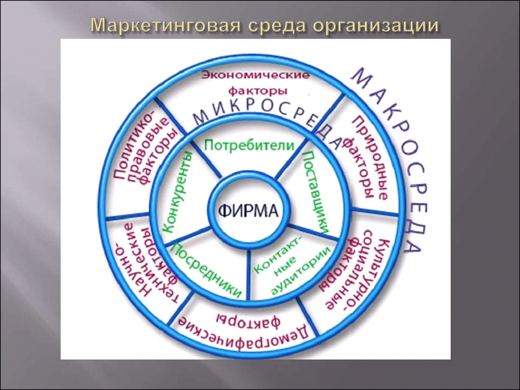 Постройте схему которая будет отражать все элементы окружающей среды фирмы