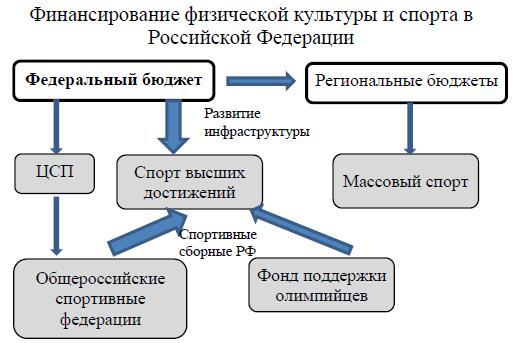 Американская модель управления спортом. Внебюджетное финансирование физической культуры и спорта. Источники финансирования физической культуры и спорта в россии. Источники финансирования спорта. Внебюджетное финансирование фкис.