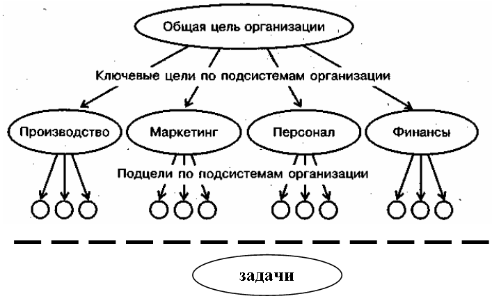 Графическая схема элементами которой являются иерархически упорядоченные организационные единицы