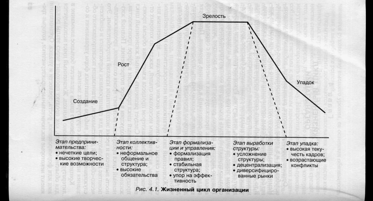 Жизненный Цикл Организации Курсовая Работа