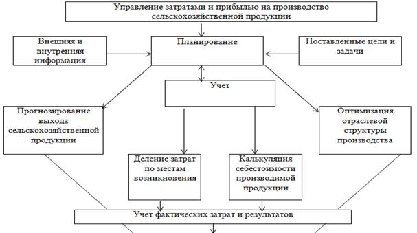 Управление затратами и результатами деятельности