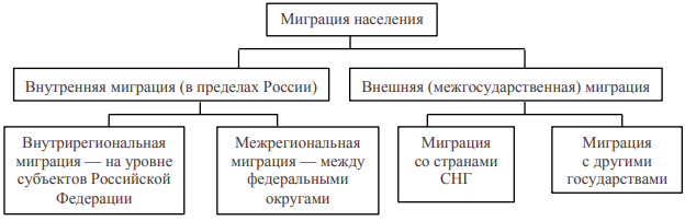 Курсовая работа по теме Анализ структуры трудовой миграции в Дальневосточном федеральном округе