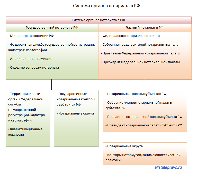 Курсовая работа по теме Нотариат в Российской Федерации