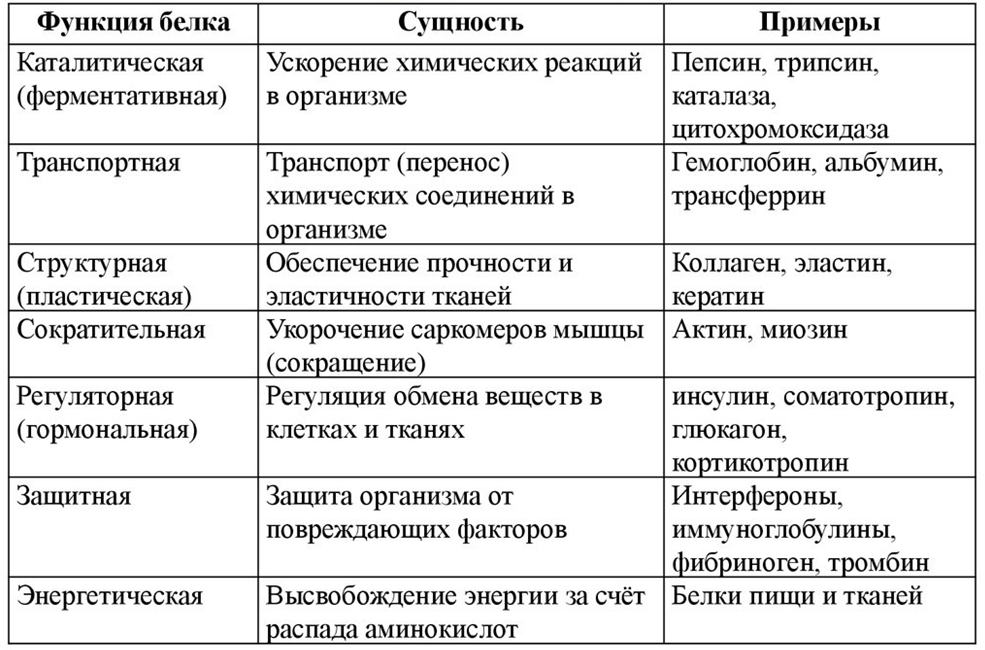 Реакция на белок что значит. Функции аминокислот в нервной ткани таблица. Как выглядит сравнительная характеристика человека. Сравнительная характеристика ускоренных производств. Профиль состояний белков.