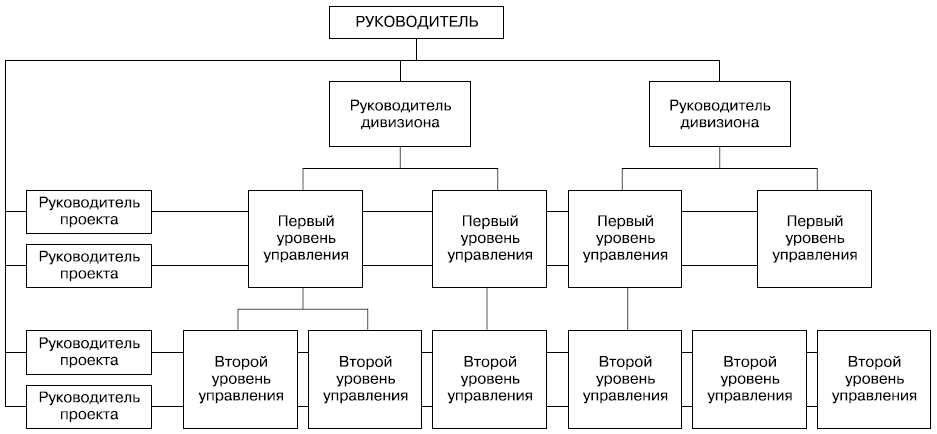 Программно целевая структура управления схема