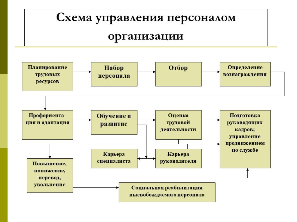 Организация работы персонала на предприятии