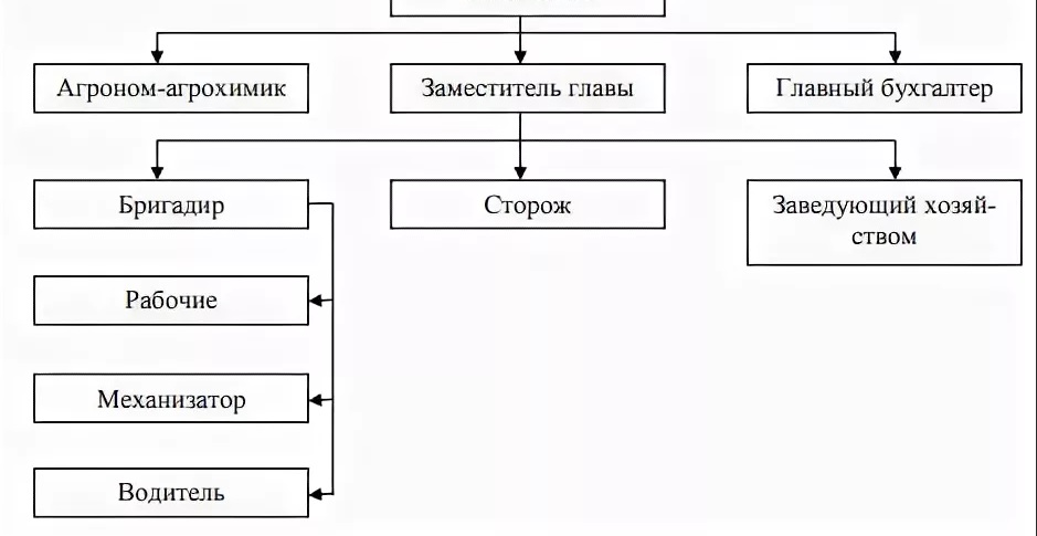 Организационная структура сельскохозяйственного предприятия схема