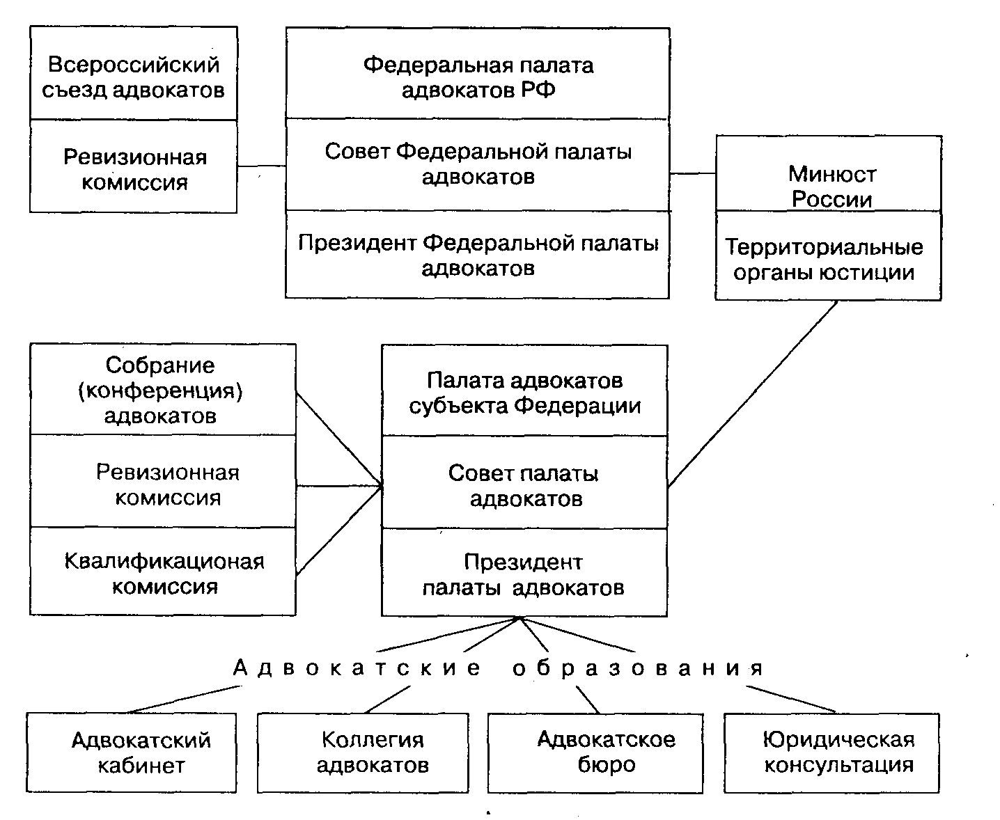Структура коллегии адвокатов схема организационная