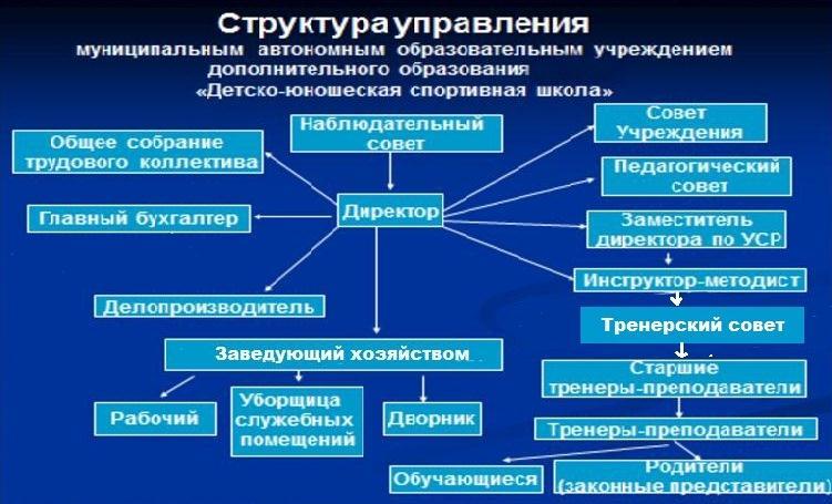 Организация деятельности спортивной школы