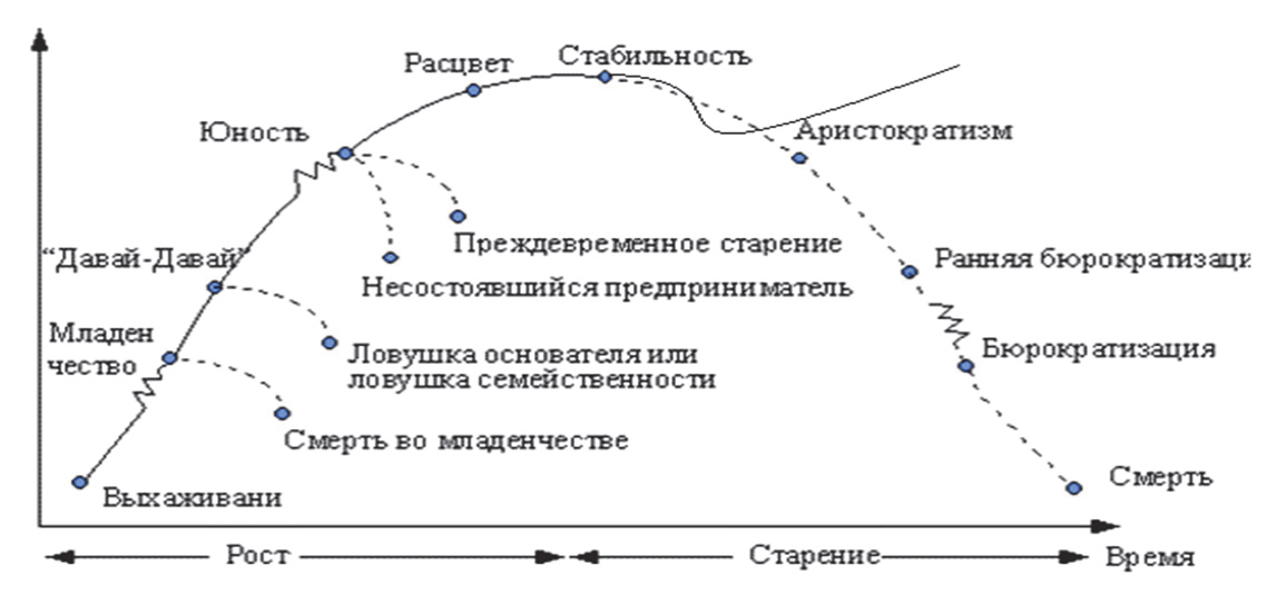 Как правильно трактовать зубчики на схеме адизеса перед этапами младенчество бюрократизация и юность