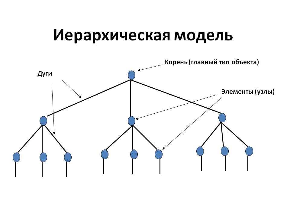 Даны изображения иерархическими системами являются