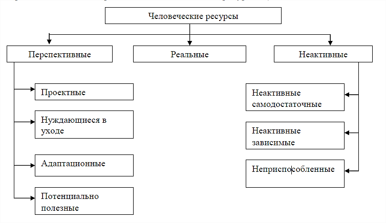 Человеческие Ресурсы Организации Курсовая Человеческие Ресурсы Организации Курсовая