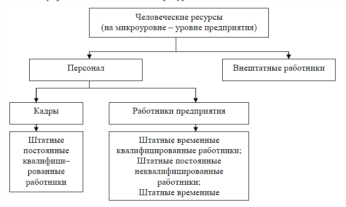 Курсовая работа по теме Человеческие ресурсы в мировой экономике