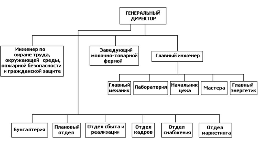 Схема генеральный директор