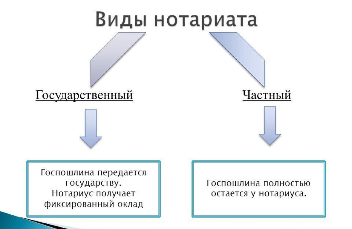 Структура нотариата схема