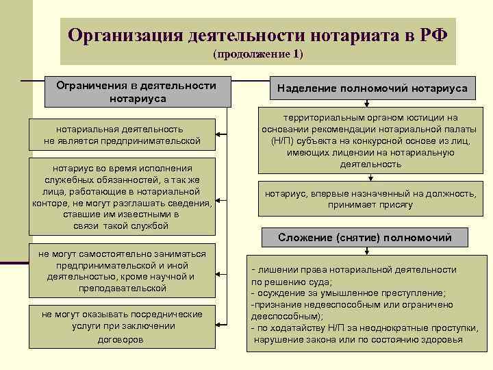 Структура нотариата схема