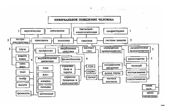 Курсовая работа: Ритм как ощущение внутреннего движения в кинематографе