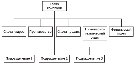 Дивизионная структура управления схема