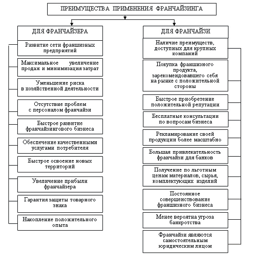 Дипломная работа: Возможности использования франчайзинга как формы увеличения капитала в современной России