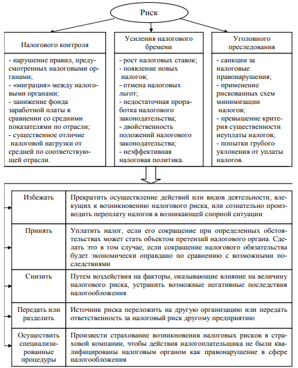 Контрольная работа: Налоговый риск