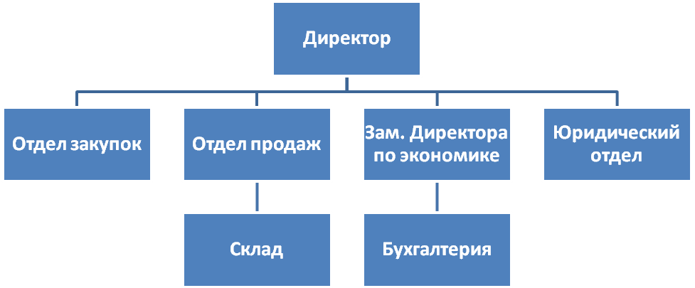 Организационная структура аптечной сети схема
