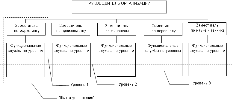 Фирма зама. Руководитель организации функциональные службы. Функциональные заместители. Схема руководитель заместитель по маркетингу. Зам по персоналу.