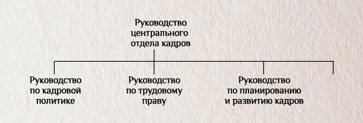 Функции кадровых структур. Элементарная организационная структура. элементарная организационная структура управления персоналом. элементарная структура управления.