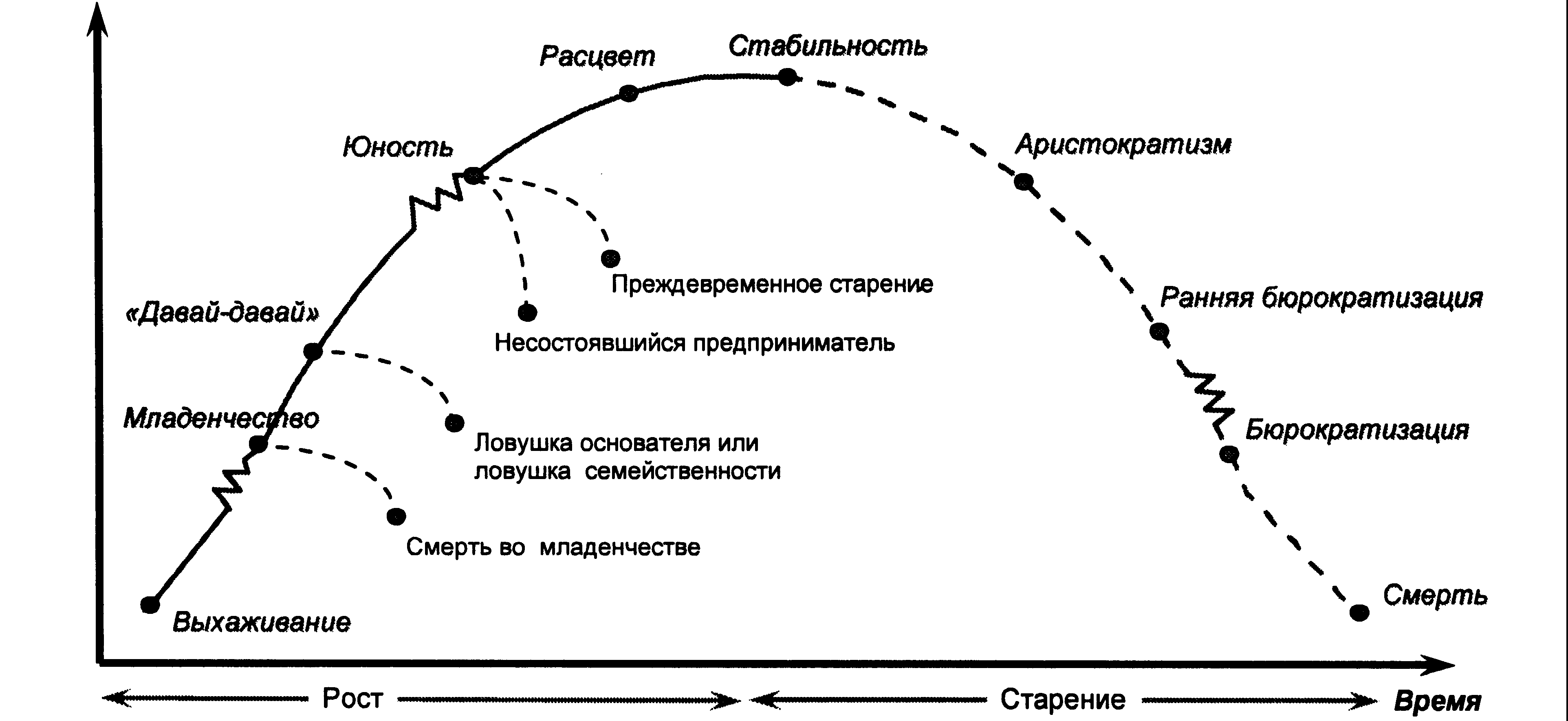 Жизненные этапы предприятия. Ицхак Адизес модель жизненного цикла. Адизес жизненный цикл организации. И. Адизес: “теория жизненных циклов организации” (1979).. Этапы жизненного цикла организации по Адизесу.