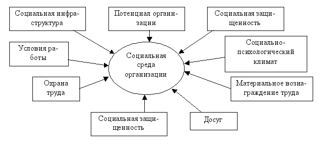 Элементы социальной системы организации