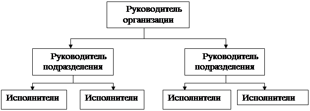 Горизонтальная структура управления схема