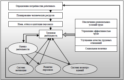 Человеческие Ресурсы Организации Курсовая Человеческие Ресурсы Организации Курсовая