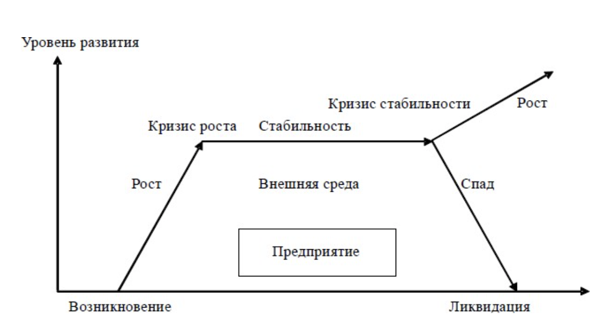 Курсовая работа: Управление персоналом на стадиях жизненного цикла и стратегиях развития организации