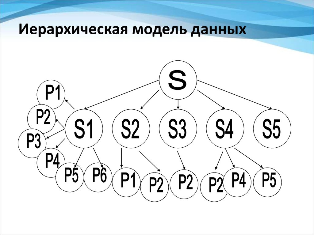 Развитие иерархии чисел