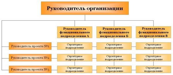 Матричная структура управления