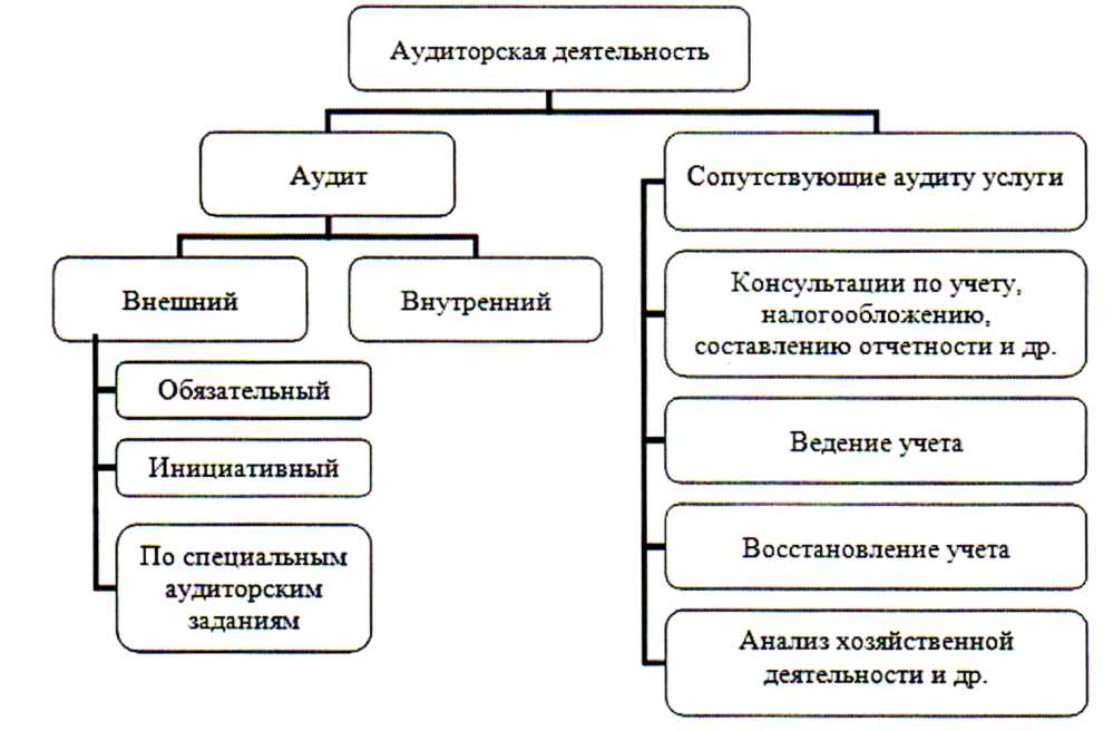 Аудит подразделяется на