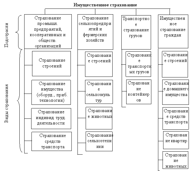 https://kosago.ru/wp-content/uploads/2018/05/10.jpg