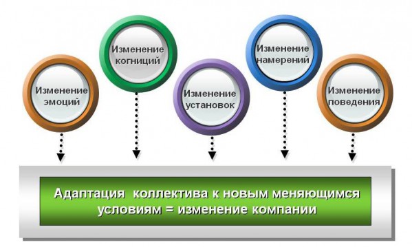 Рынок адаптируется к изменениям