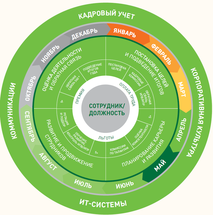 Циклы управления по цели. Цикл управления стремлениями сотрудников. Годовой цикл управления персоналом. Управленческий цикл картинки для презентации.