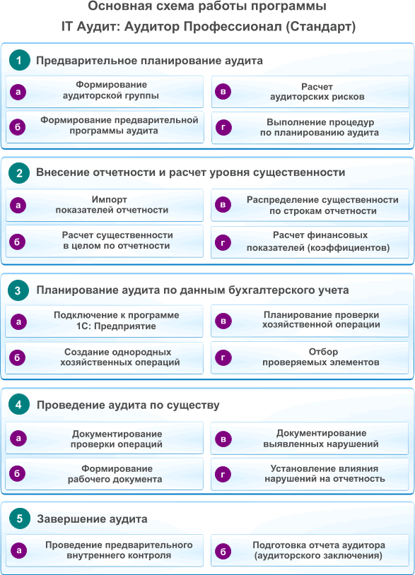 audit-program-prof