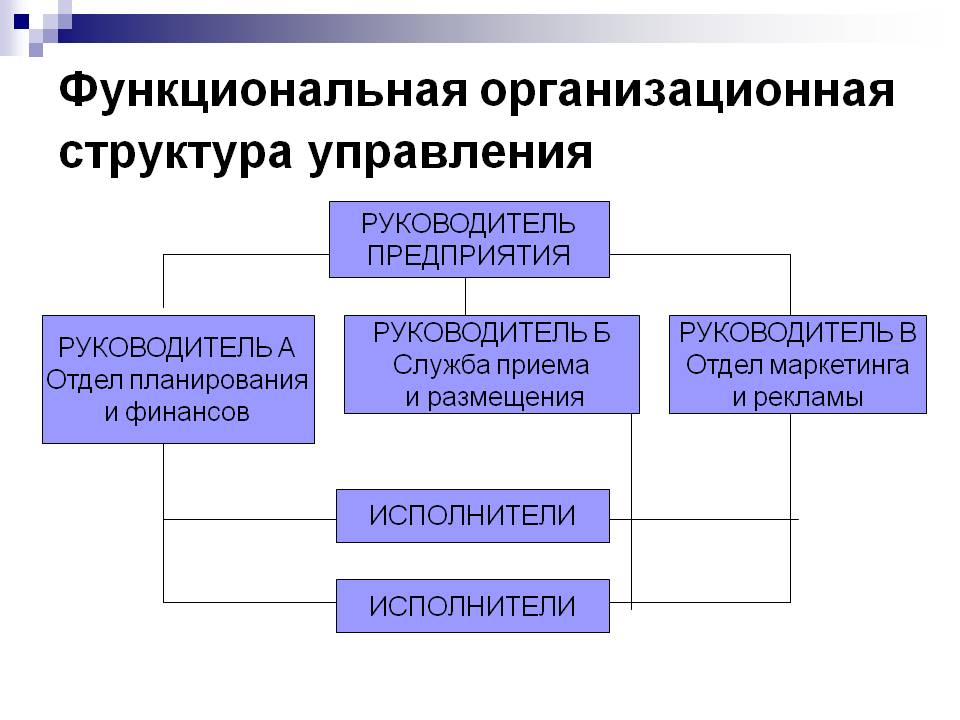 Функциональная оргструктура схема