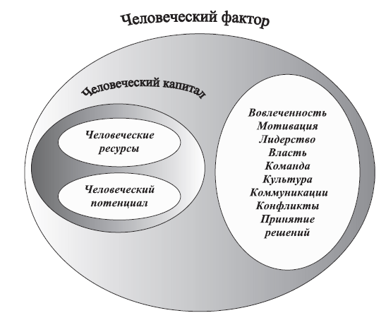 Элементы человеческого фактора. Человеческий фактор схема. Человеческий фактор структура LH. Человеческие факторы для свадьбы.