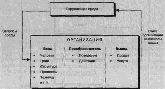 Человеческий фактор в организации